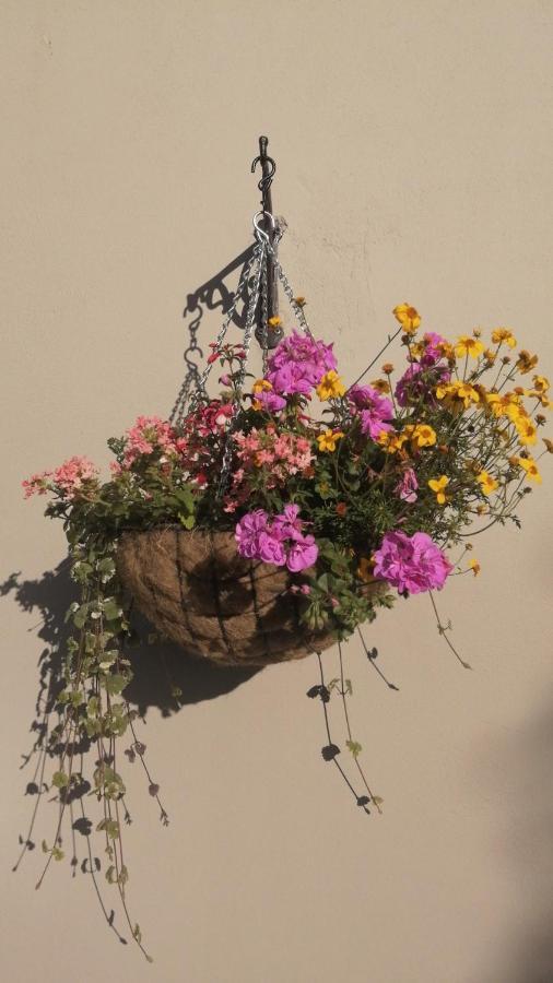 Applecroft House Bed & Breakfast Killarney Exterior foto
