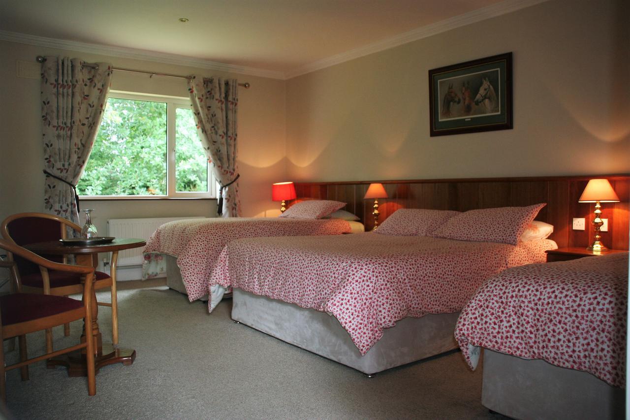 Applecroft House Bed & Breakfast Killarney Exterior foto
